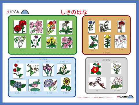 四季の花のミニポスター